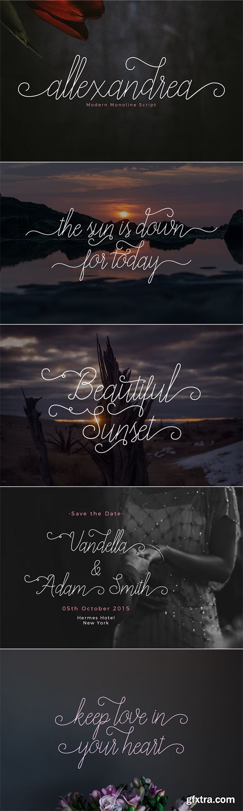 Alexandrea Script - Modern Monoline Typeface