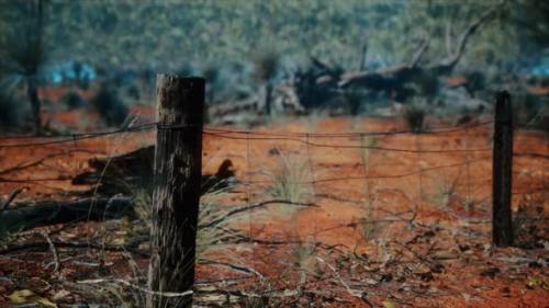 Videohive - Dingoe Fence in the Australian Outback - 35367692 - 35367692