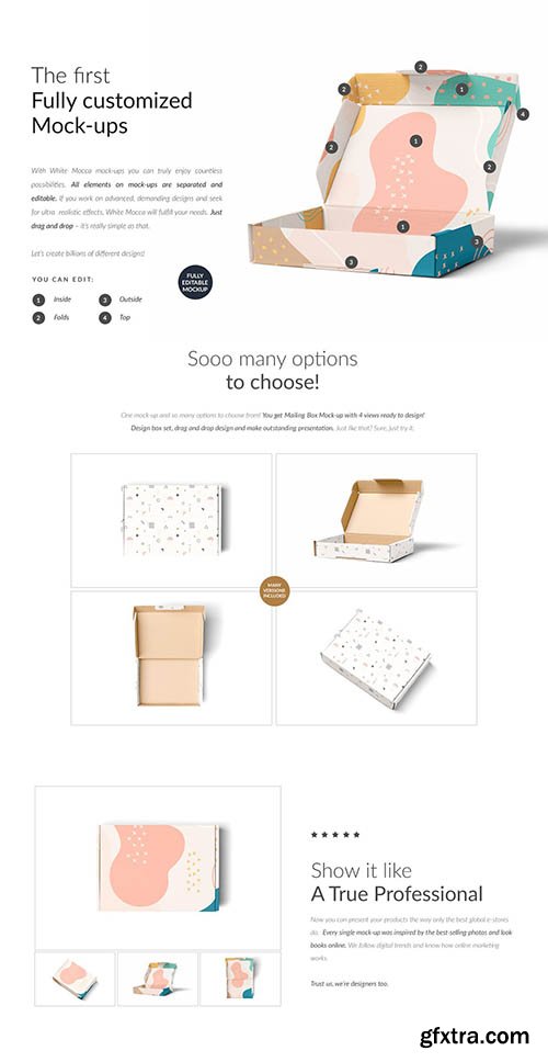 CreativeMarket - Mailing Box 4x Mock-ups 6643185