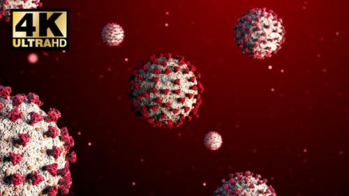 Videohive - Coronavirus Spreading In Blood - 26150423 - 26150423