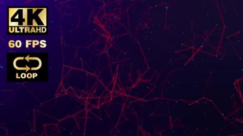 Videohive - Plexus Abstract Background Network connections 4K 60 fps Looped - 27045928 - 27045928