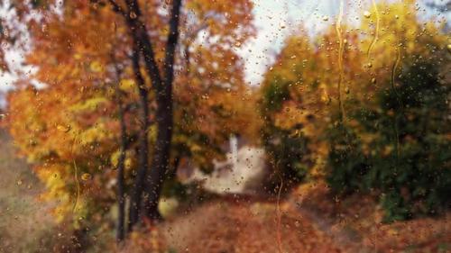 Videohive - Falling rain drops on window surface - 29869898 - 29869898