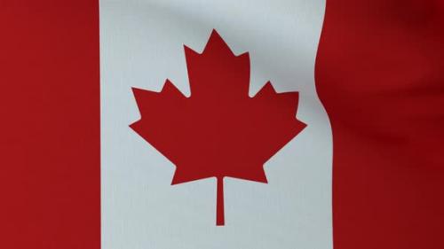 Videohive - Waving Canada flag - 31123994 - 31123994