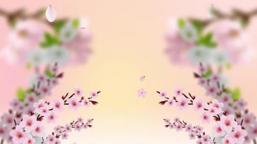 Videohive - Beautiful Sakura Flowers Abstract Cherry Blossom Background Loop 4k - 31168967 - 31168967