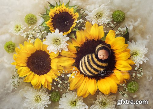 Sunflowers love. Bee Poppet + Sunflowers Backdrop