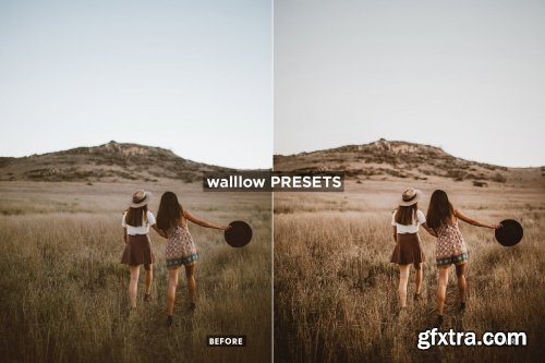 10 Gold Brown Desktop & Mobile Lightroom Presets