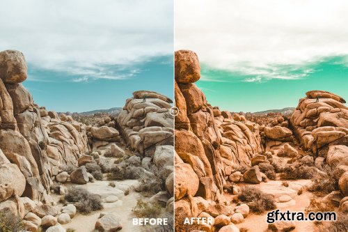 Desert Vibes Tones Action & Lightrom Presets