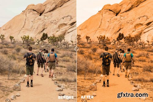 Desert Vibes Tones Action & Lightrom Presets