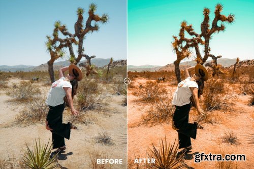 Desert Vibes Tones Action & Lightrom Presets