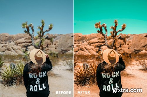 Desert Vibes Tones Action & Lightrom Presets