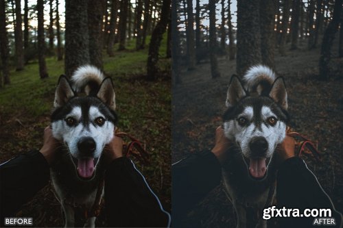 CreativeMarket - Dark and Moody Lightroom presets 6281502