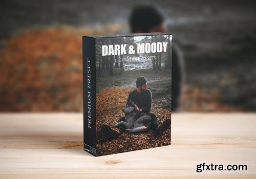 CreativeMarket - Dark and Moody Lightroom presets 6281502