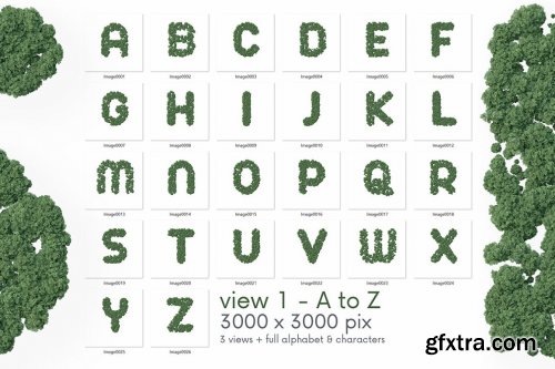 CreativeMarket - Aerial Forest - 3D Lettering 6724309