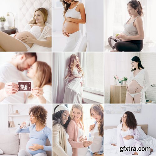 Phlearn Pro - Maternity LUTs for Photo & Video
