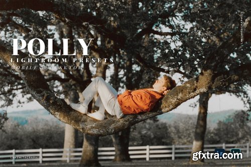 Polly Mobile and Desktop Lightroom Presets