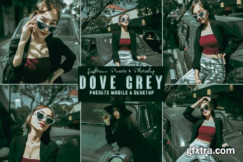 Dove Grey Photoshop Action & Lightrom Presets