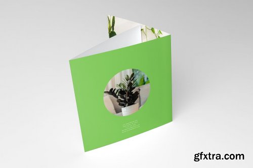 Square Green Modern Ecologic Trifold