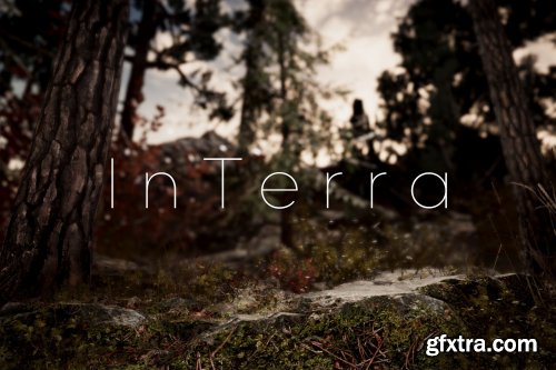 Unity - InTerra ~ Terrain Features | VFX Shaders v1.3.0