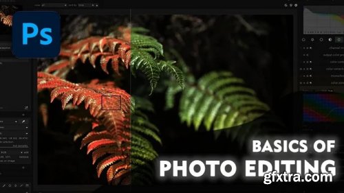  Photoshop Basics: Photo Editing Basics