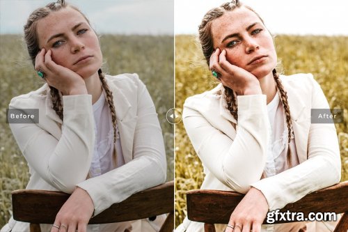 CreativeMarket - Honey Dijon Pro Lightroom Presets 6640953