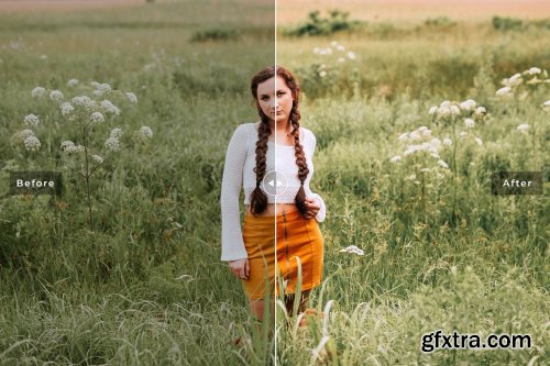 CreativeMarket - Field Pro Lightroom Presets 6640893