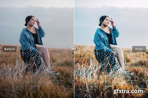 CreativeMarket - Field Pro Lightroom Presets 6640893