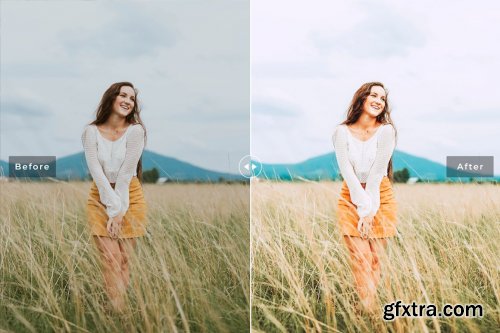 CreativeMarket - Field Pro Lightroom Presets 6640893