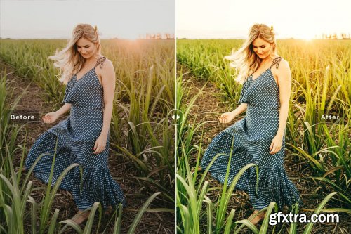 CreativeMarket - Field Pro Lightroom Presets 6640893