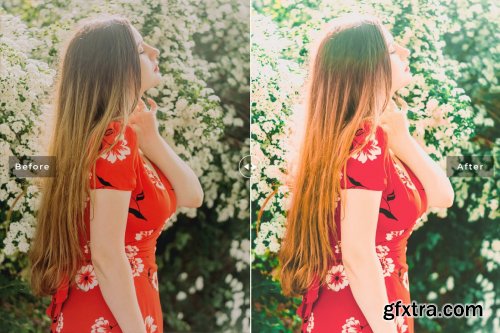 CreativeMarket - Honeydew Pro Lightroom Presets 6640956