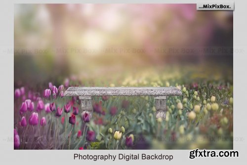 CreativeMarket - Park Bench Backdrops 5013302