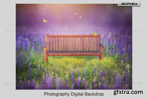 CreativeMarket - Park Bench Backdrops 5013302