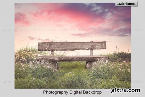 CreativeMarket - Park Bench Backdrops 5013302