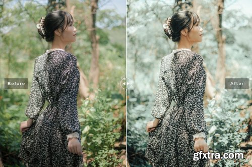 CreativeMarket - Celadon Pro Lightroom Presets 6622413