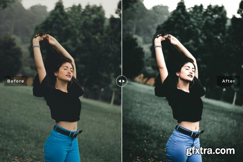 CreativeMarket - Feldgrau Pro Lightroom Presets 6639860