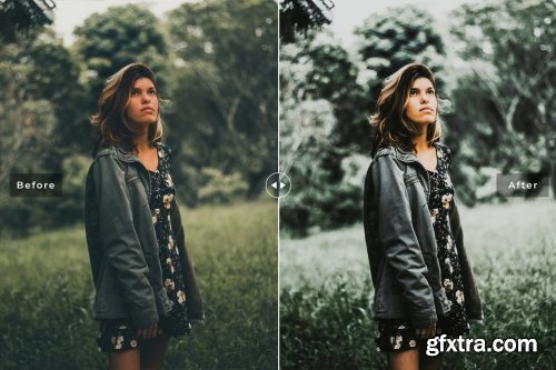 CreativeMarket - Feldgrau Pro Lightroom Presets 6639860