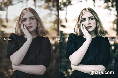 CreativeMarket - Feldgrau Pro Lightroom Presets 6639860