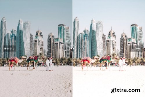 CreativeMarket - Camel Pro Lightroom Presets 6622399