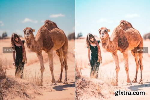 CreativeMarket - Camel Pro Lightroom Presets 6622399