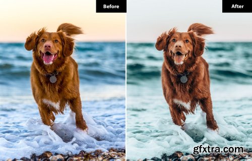 Pets Lightroom Presets For Mobile and Desktop