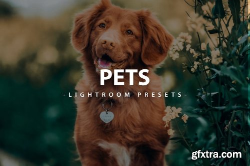 Pets Lightroom Presets For Mobile and Desktop