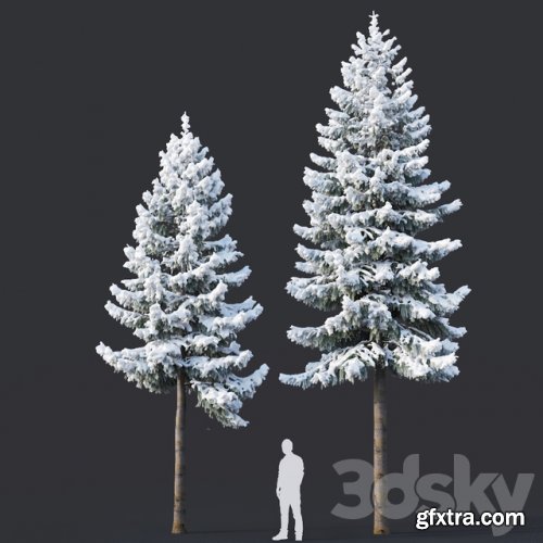 Spruce #6 Two sizes H8-10m. Modular branches