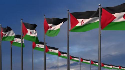 Videohive - The Western Sahara Flags Waving In The Wind 4K - 35368285 - 35368285