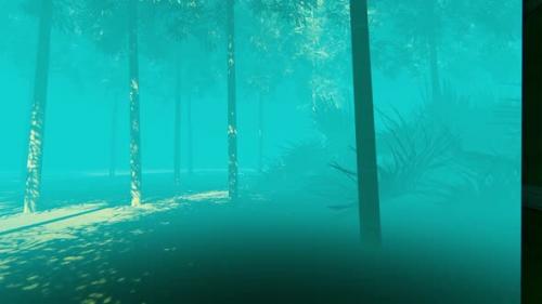 Videohive - Jungle At Fog Time - 35284226 - 35284226