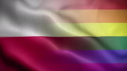 Videohive - LGBT Poland Flag Loop Background 4K - 35280007 - 35280007