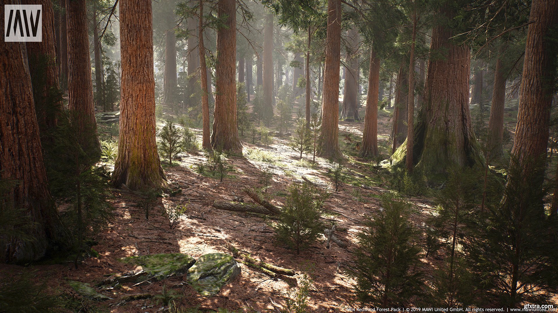 Unreal Engine – MW Mountain Redwood Trees Forest Biome » GFxtra