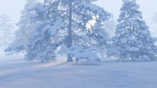 Videohive - Flying to the sun through the snow-covered forest of fir trees. Christmas background. - 35307439 - 35307439