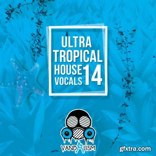 Vandalism Ultra Tropical House Vocals 14 WAV MIDI