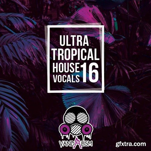 Vandalism Ultra Tropical House Vocals 16 WAV MIDI