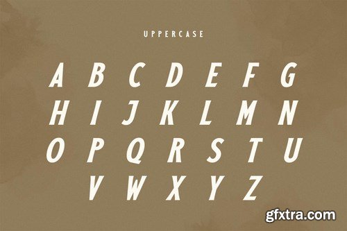 Galore - Stylish Vintage Font Family