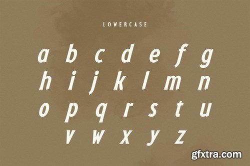 Galore - Stylish Vintage Font Family